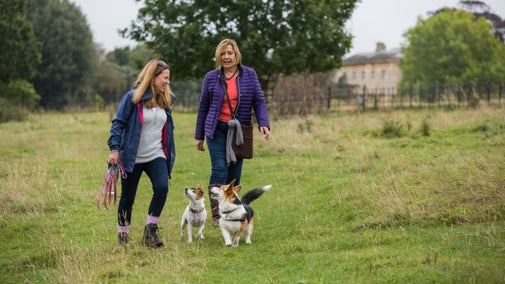 Visitors walking with their dogs in the grounds at Basildon Park, Berkshire